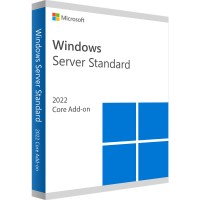 Microsoft Windows Server 2022 Standard Add-on Microsoft Windows Server 2022 Standard Add-on